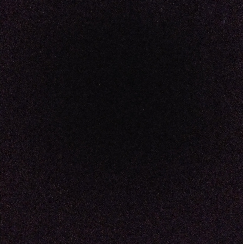 Meet your Posher, Lilli